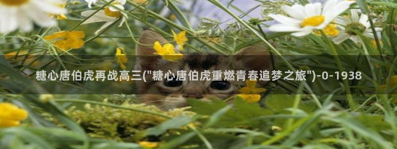 糖心vlog在线观看_糖心vlog小：糖心唐伯虎再战高三(\