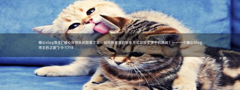 糖心vlog小：糖心vlog博主(\