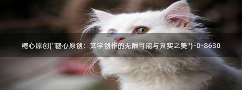 糖心传媒vlog